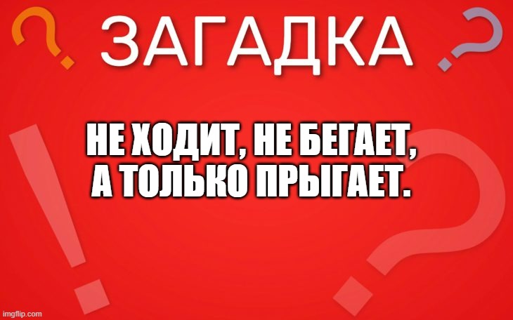Не ходит, не бегает, а только прыгает — загадка