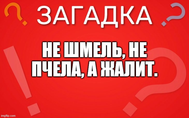 Не шмель, не пчела, а жалит — загадка