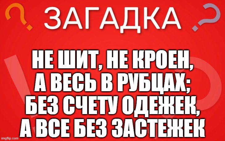Не шит, не кроен, а весь в рубцах — загадка