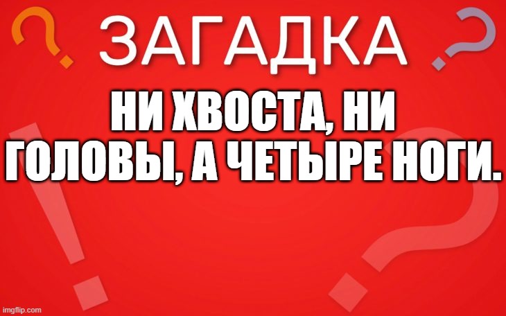 Ни хвоста, ни головы, а четыре ноги — загадка
