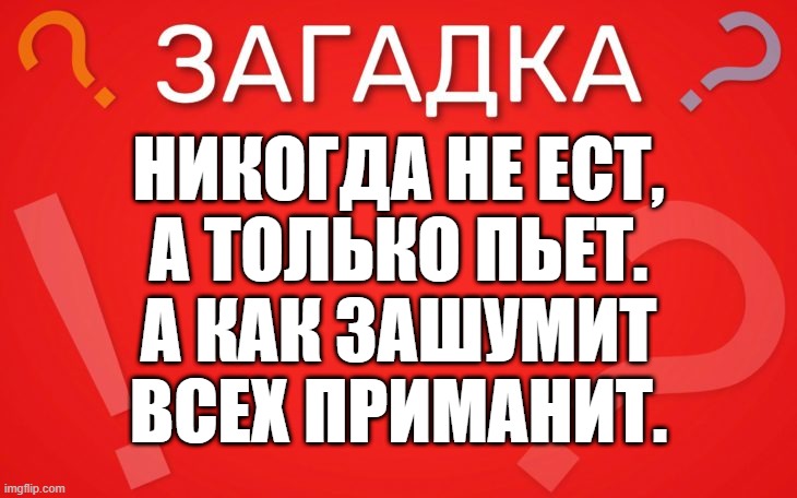 Никогда не ест, а только пьет — загадка