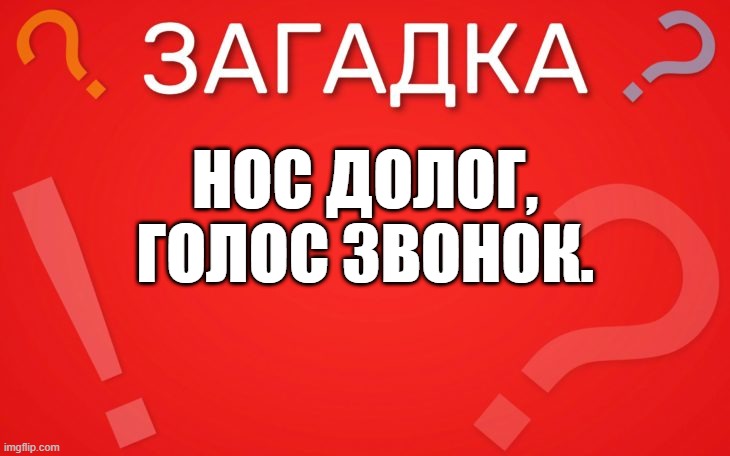 Нос то долог, голос то звонок — загадка