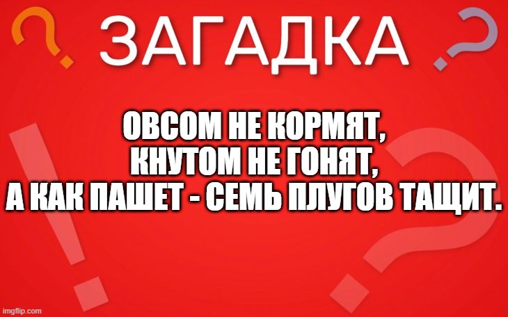 Овсом не кормят, кнутом не гонят — загадка