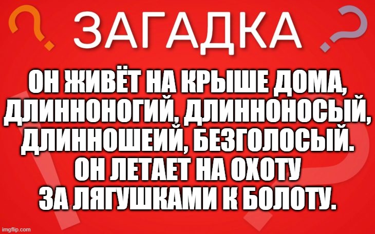 Он живёт на крыше дома, длинноногий длинноносый — загадка