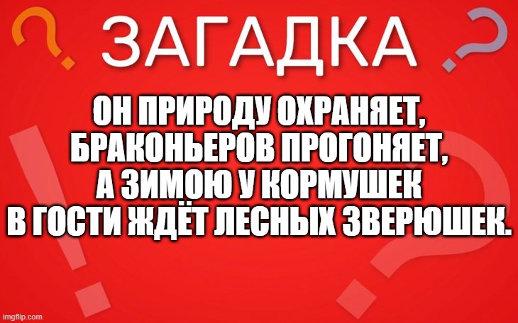 Он природу охраняет, браконьеров прогоняет — загадка