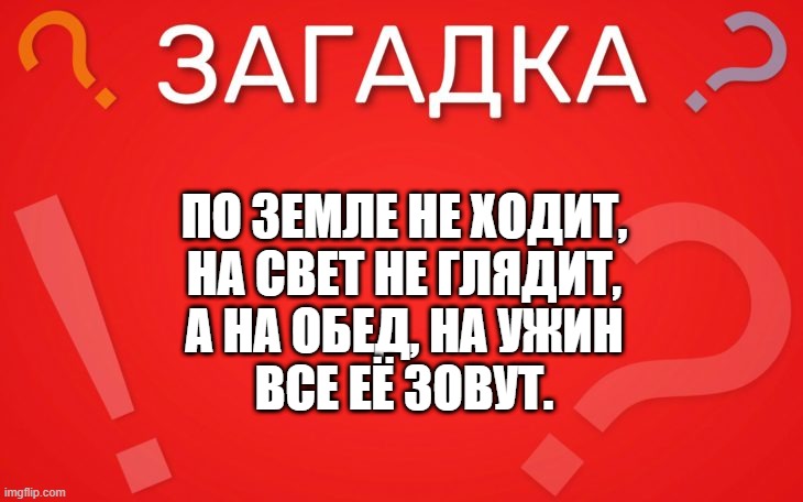 По земле не ходит, на свет не глядит — загадка
