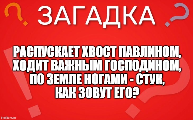 Распускает хвост павлином, ходит важным господином — загадка
