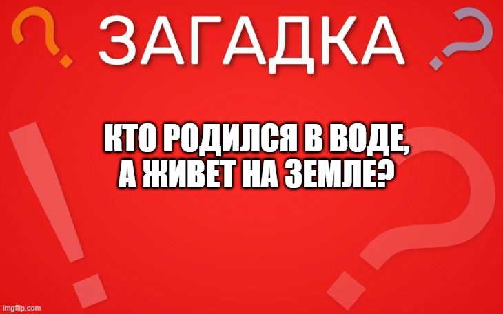 Родилась в воде, а живёт на земле — загадка