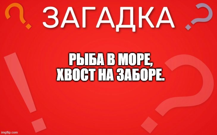 Рыба в море, хвост на заборе — загадка