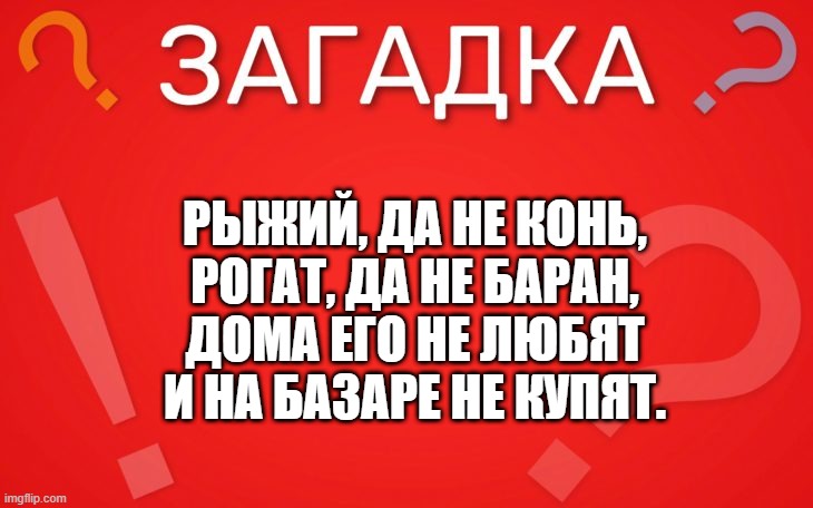 Рыжий да не конь, рогат да не баран — загадка