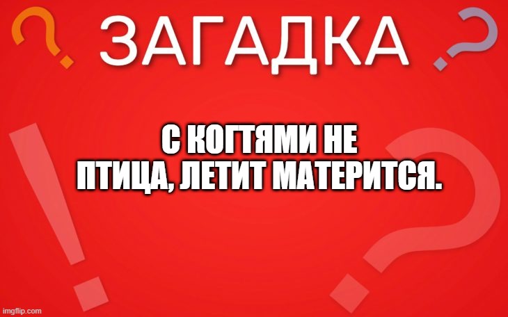 С когтями не птица, летит матерится — загадка