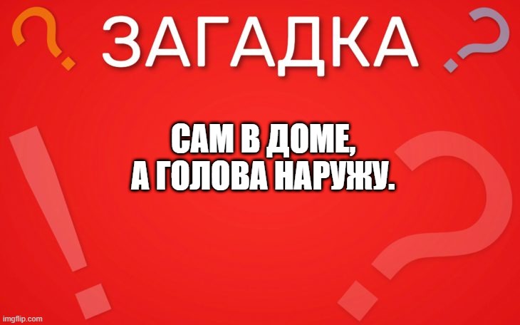 Сам в доме, а голова наружу — загадка