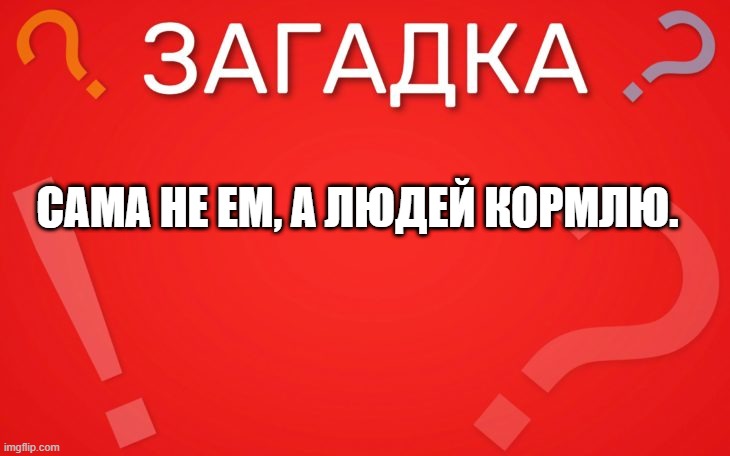 Сама не ем, а людей кормлю — загадка
