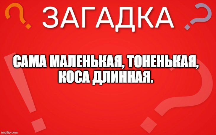 Сама маленькая, тоненькая, коса длинная — загадка