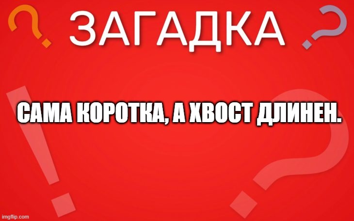 Сама коротка, а хвост длинен — загадка