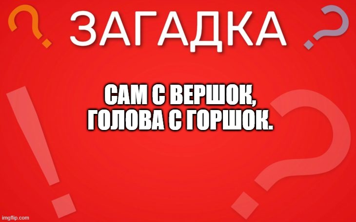Сам с вершок, голова с горшок — загадка