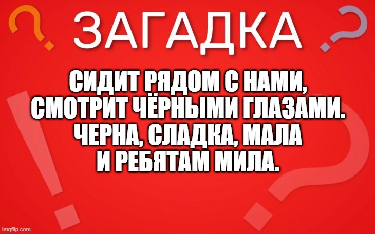 Сидит рядом с нами, смотрит чёрными глазами — загадка