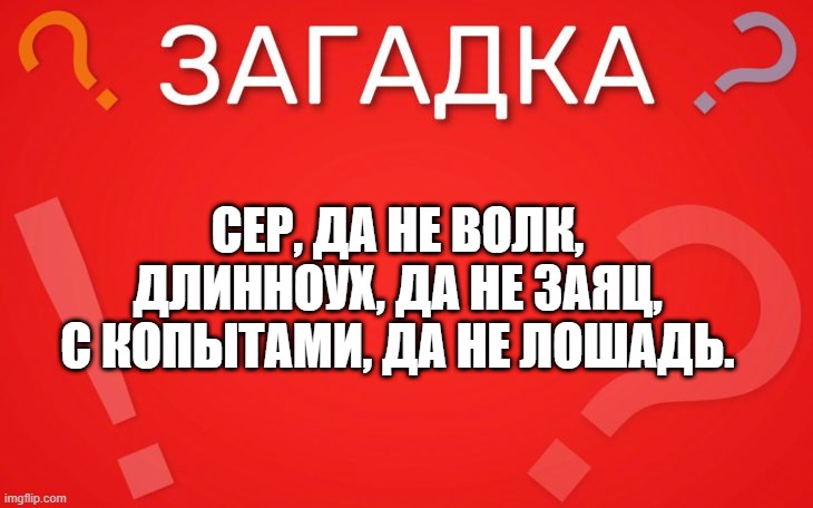 Сер, да не волк, длинноух, да не заяц — загадка