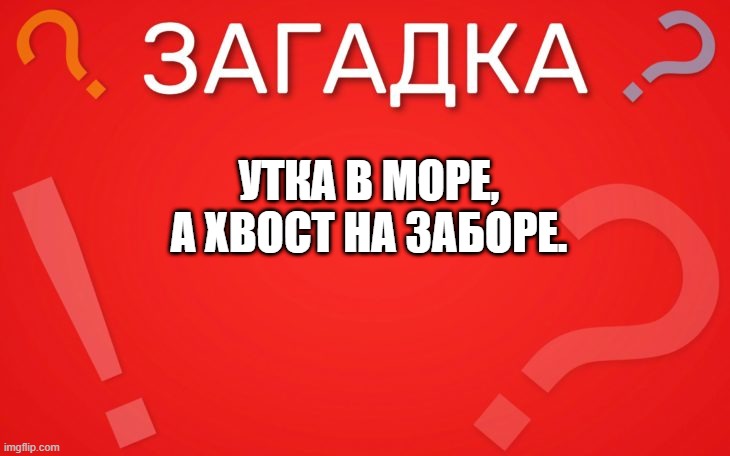 Утка в море, хвост на заборе — загадка