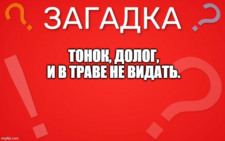 Тонок, долог, И в траве не видать — загадка
