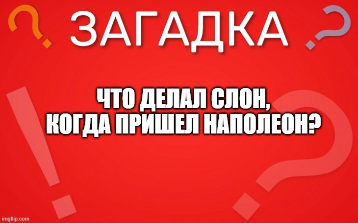 Что делал слон когда пришел наполеон — загадка