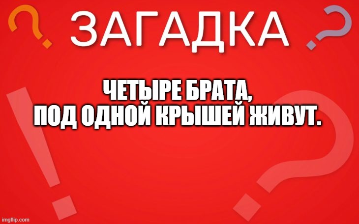 Четыре брата, под одной крышей живут — загадка