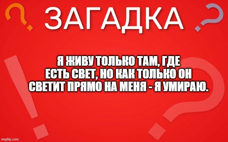 Я живу только там, где есть свет — загадка