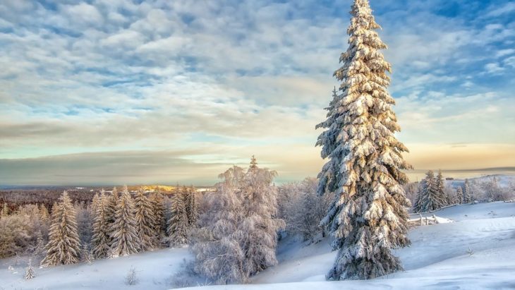 Пословицы и поговорки о зиме (50 пословиц)