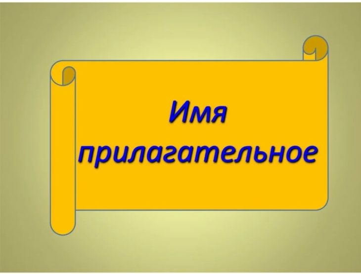 Загадки про прилагательное (19 штук)