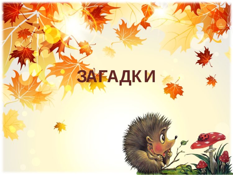 Загадки для 6 класса (40 штук)