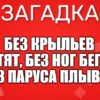 Без крыльев летят, без ног бегут, без паруса плывут.