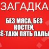 Без мяса, без костей, А всё-таки пять пальцев.