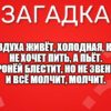Без воздуха живёт, Холодная, как лёд, Не хочет пить, а пьёт. Бронёй блестит, но не звенит И всё молчит, молчит.