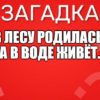 В лесу родилась, а в воде живёт.