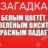 Белым цветёт, Зелёным висит, Красным падает.