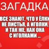 Все знают, что у ёлки Не листья, а иголки, И так же, как она С иголками ...