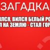 Вился, вился белый рой, сел на землю - стал горой.