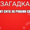 Висит сито, не руками свито.