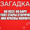 Во лесу, во бору Стоят стары старички, На них красны колпачки.