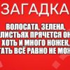 Волосата, зелена, В листьях прячется она. Хоть и много ножек, Бегать всё равно не может.