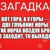 Вот гора, а у горы — Две глубокие норы. В этих норах воздух бродит: То заходит, то выходит.