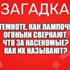 В темноте, как лампочки, Огоньки сверкают. Что за насекомые? Как их называют?