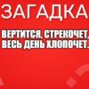Вертится, стрекочет, Весь день хлопочет.