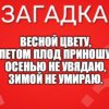 Весной цвету, Летом плод приношу, Осенью не увядаю, Зимой не умираю.