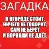 В огороде стоит, Ничего не говорит, Сам не берёт И воронам не даёт.