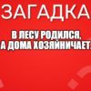 В лесу родился, А дома хозяйничает.