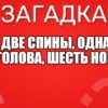 Две спины, одна голова, шесть ног.