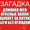 Длинная шея, Красные лапки, Щиплет за пятки, Беги без оглядки.