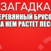 Деревянный брусок, А на нем растет лесок.