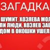 Дом шумит, хозяева молчат; пришли люди, хозяев забрали, дом в окошки ушел.